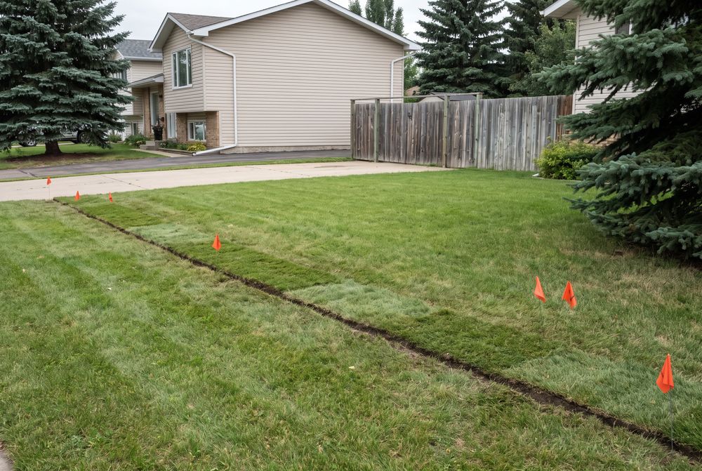 Completed utility trench across a front lawn, backfilled and topped with a strip of fresh sod, locate flags still in place